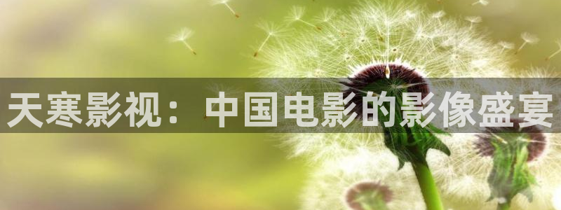 yy4480影视电视剧免费播放